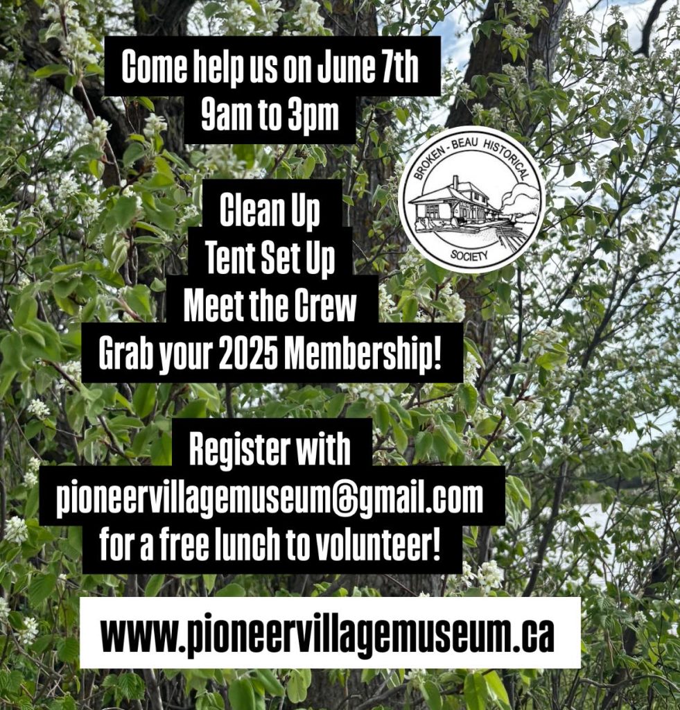 497507320 2498896810450070 3662999292038358376 N