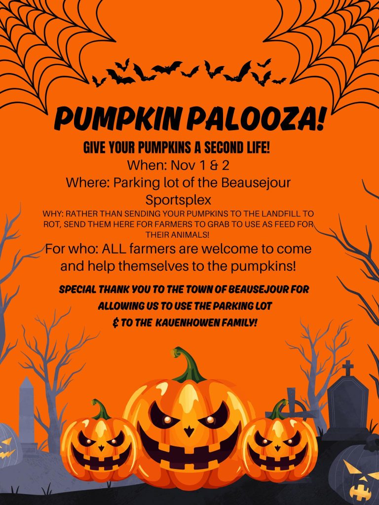 561275817 1971353473643017 2030092346559368834 N