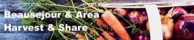 Thumbnail Pastedgraphic 1