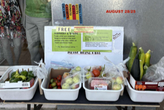 Thumbnail Pastedgraphic 2